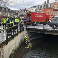 img_4784.jpg