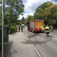 heckenbrand_hanfelder_str.jpg