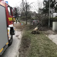 unfall_hanfelder_5.jpg