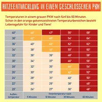 hund-auto-temperatur.png