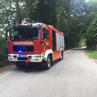 olspur_prinzeneiche.jpg