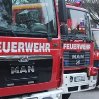 fw6.jpg