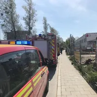 baum_gautinger_str.jpg
